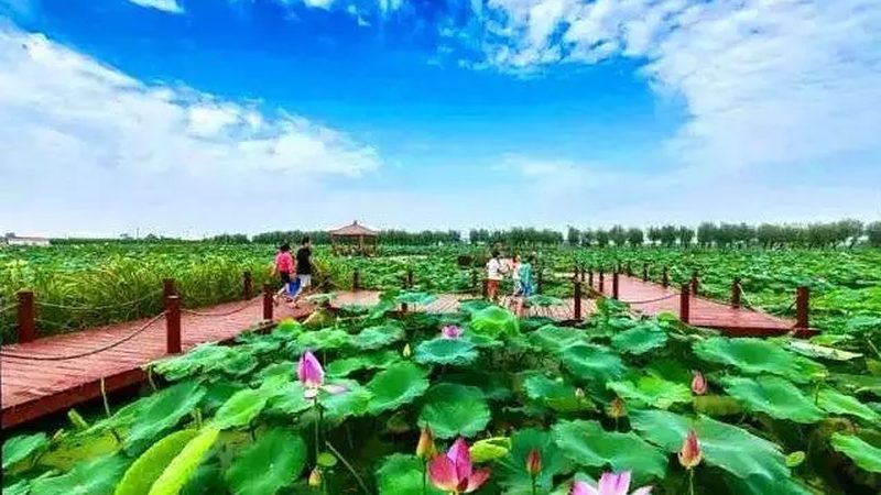 合作社财务管理制度范本：构建稳健财务体系的基石