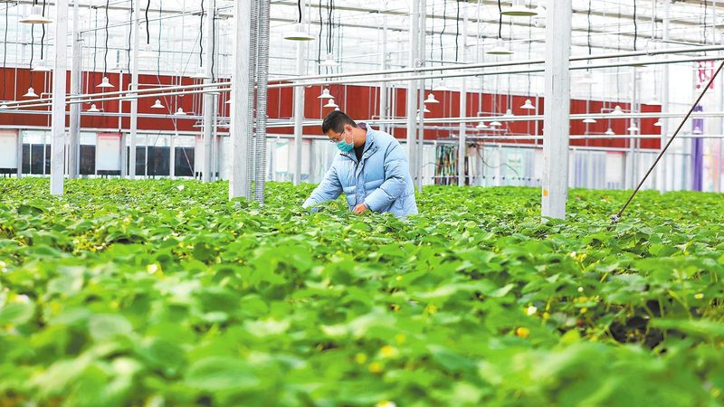 家庭农场合作社补贴申请