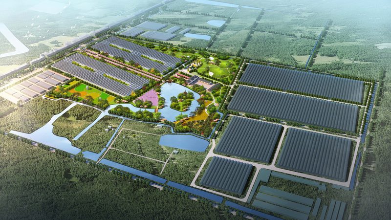 粮食种子规格型号：揭秘种植者的“种子密码