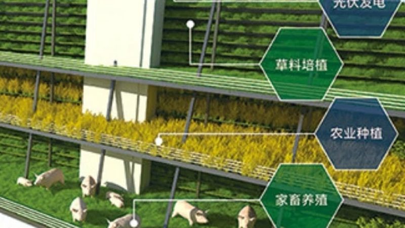 一份生态农业可行性报告通常包括以下内容：