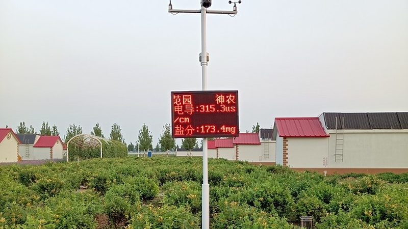 广州农产品批发档口日用品还是果蔬好
