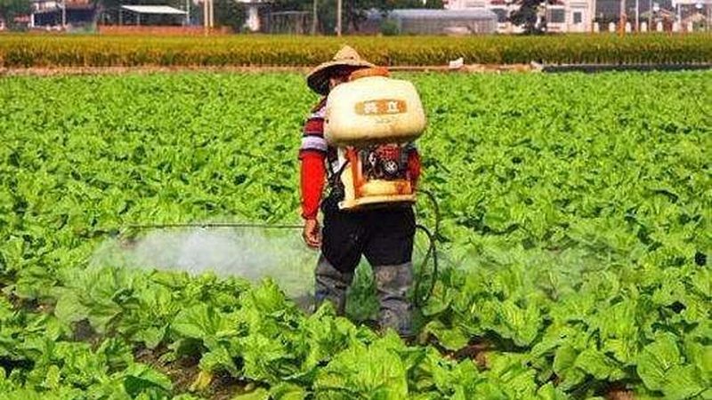 有机蔬菜土壤检测项目有哪些