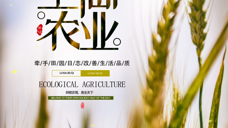温室大棚降温，不止是装个风机湿帘那么简单